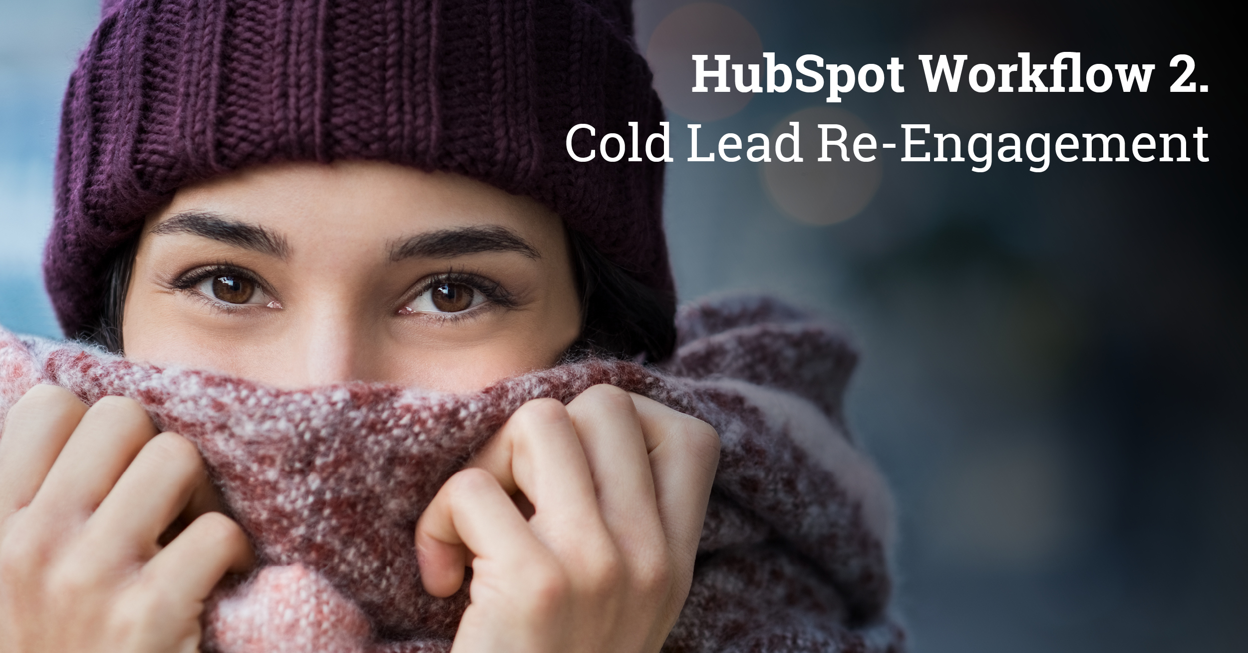 HubSpot Workflow 2: Cold Lead Re-engagement